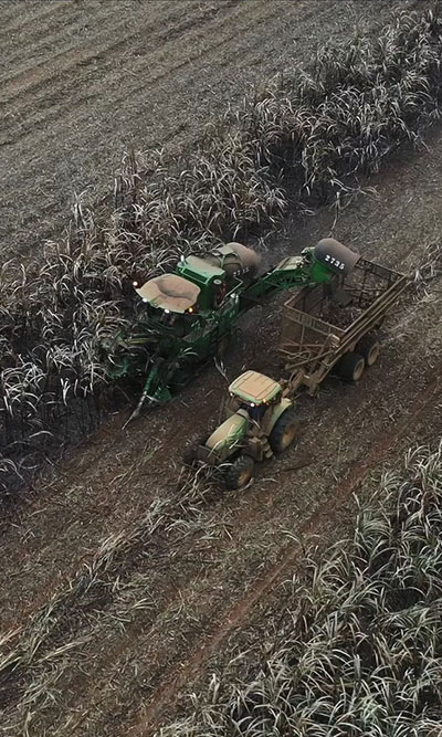 LES SUCRERIES DU GABON